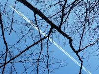 a jakim prawem ten samolot wleciał nam na NASZE NIEBO???;-)))