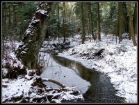 3.03.2013- z Gruchawki na Górę Świnią- klub "Przygoda" zaprasza na niedzielną wycieczkę