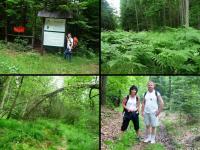 Rezerwat przyrody DALEJÓW