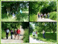 PIELGRZYMKA PRZYGODY NA GÓRĘ WITOSŁAWSKĄ...