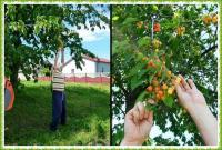 PIELGRZYMKA PRZYGODY NA GÓRĘ WITOSŁAWSKĄ...