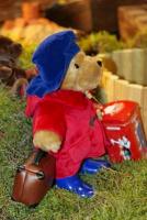 Miś Paddington na wystawie Misie w lesie. Muzeum Zabawek i Zabawy w Kielcach