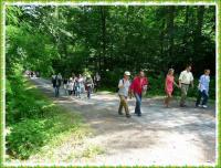 PIELGRZYMKA PRZYGODY NA GÓRĘ WITOSŁAWSKĄ...