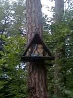 KAPLICZKA NA DRZEWIE