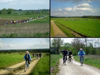 Jedziemy dalej, dalej przed siebie...