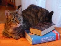 ZUZANNA jako nauczycielka języka rosyjskiego