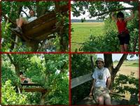 Domek na drzewie- zawsze o takim marzyłam