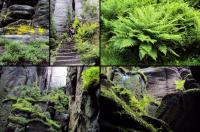 WYPRAWA W GÓRY STOŁOWE 