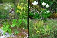 ROWEROWE TRÓJPRZYMIERZE- CHĘCINY 2011