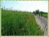 PIELGRZYMKA PRZYGODY NA GÓRĘ WITOSŁAWSKĄ...