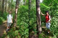 Większość trasy prowadziła czerwonym szlakiem