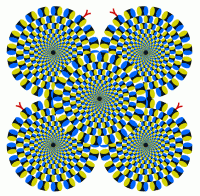 Rusza się, prawda? Otóż nie. Nawet nie drgnie. To tylko nasz mózg ma problem z interpretacją tego, co widzi...