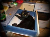 To jest CZARNA- pomaga mi w porządkach... taaaaaaa...