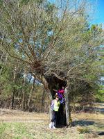 Wierzba iwa... coś tam na niej sie kiwa... ;-)))