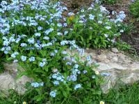 patrzą rybim oczkiem...