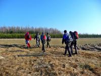 ... poprzez pola, lasy...