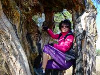 A gdzieżeś babo wlazla... ???;-))