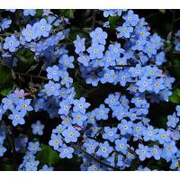 dy się plynie łódką,