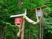 Nadleśnictwo SUCHEDNIÓW