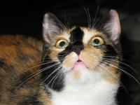 Coś ciekawego jest na suficie???