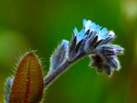 "NIE ZAPOMNIJ O MNIE"