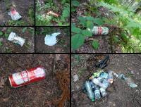 Czy tu byli turyści czy świnie? Upsss... chyba ubliżyłam świniom...