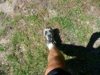 A czyjaż to piękna nożka???;-)))))))))