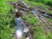 Słonko przegląda się w kałuży