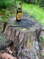 Ktoś zgubił TATRĘ w lesie???