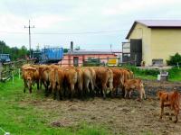 Wygląda na to, że towarzystwo totalnie się na nas wypięło... ;-)))))))