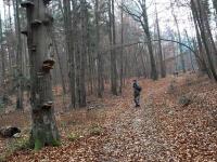 Zosia podziwia jesienny las