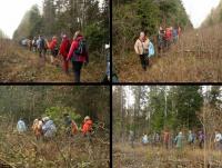 Droga przez chaszcze- w kierunku G. Wierzejskiej