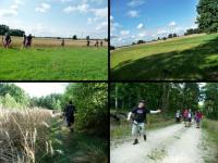 Idziemy wesołą gromadą...