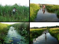 Rzeczka Opocznianka- przeprawa na drugą stronę tylko a bosaka...