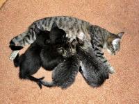 ZUZA była wspaniałą matką