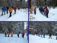 Dalsza drogra prowadziła nie oznakowanym szlakiem