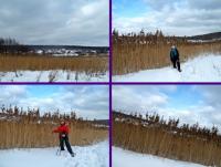 Ja i Henryczek obijamy się przy plantacji trzciny a...