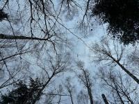 Widok z perspektywy orła, leżącego na śniegu