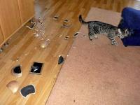 ZUZA tez potrafiła nabroić... ;-)))