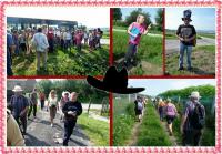 BILCZA- tu się wszystko zaczęło...