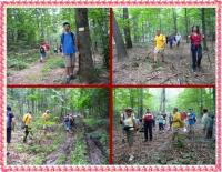 Prowadził nas żółty szlak