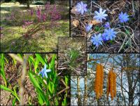 CIEKAWOSTKI PRZYRODNICZE