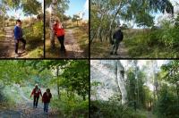 Co niektórzy zaginęli w akcji...