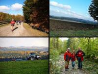 Dalej w drogę poprzez pola i lasy...