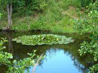 fot. ADRIAN MOCZULSKI