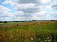 fot. ADRIAN MOCZULSKI