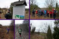 Rezerwat Murawy Dobromierskie