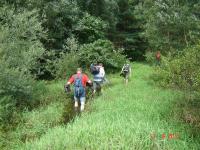 No, Panie Ministrze- brak autostrad, brak mostów- niedobrze, oj niedobrze...