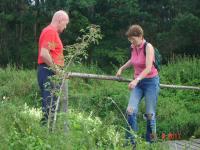 a jednak sie udało... 