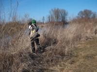 Ja wlazłam w krzaki żeby złapać zbliżenie owych ruin